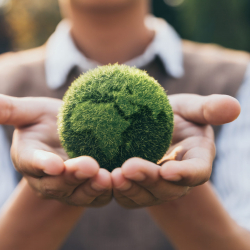 Värna om miljön illustration